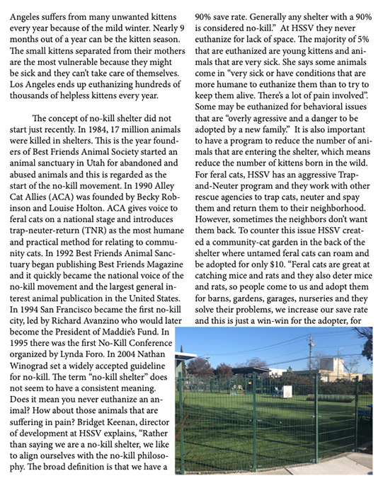 Article by Nicky Krammer
